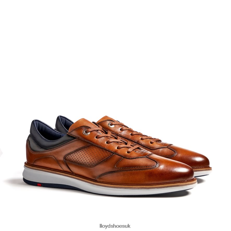 LLOYD Men MAXIM H4BXXT250 Shoes brown