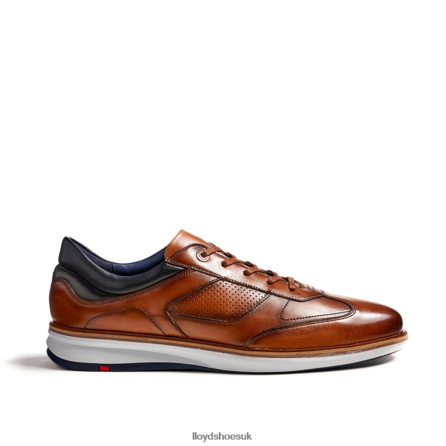 LLOYD Men MAXIM H4BXXT250 Shoes brown