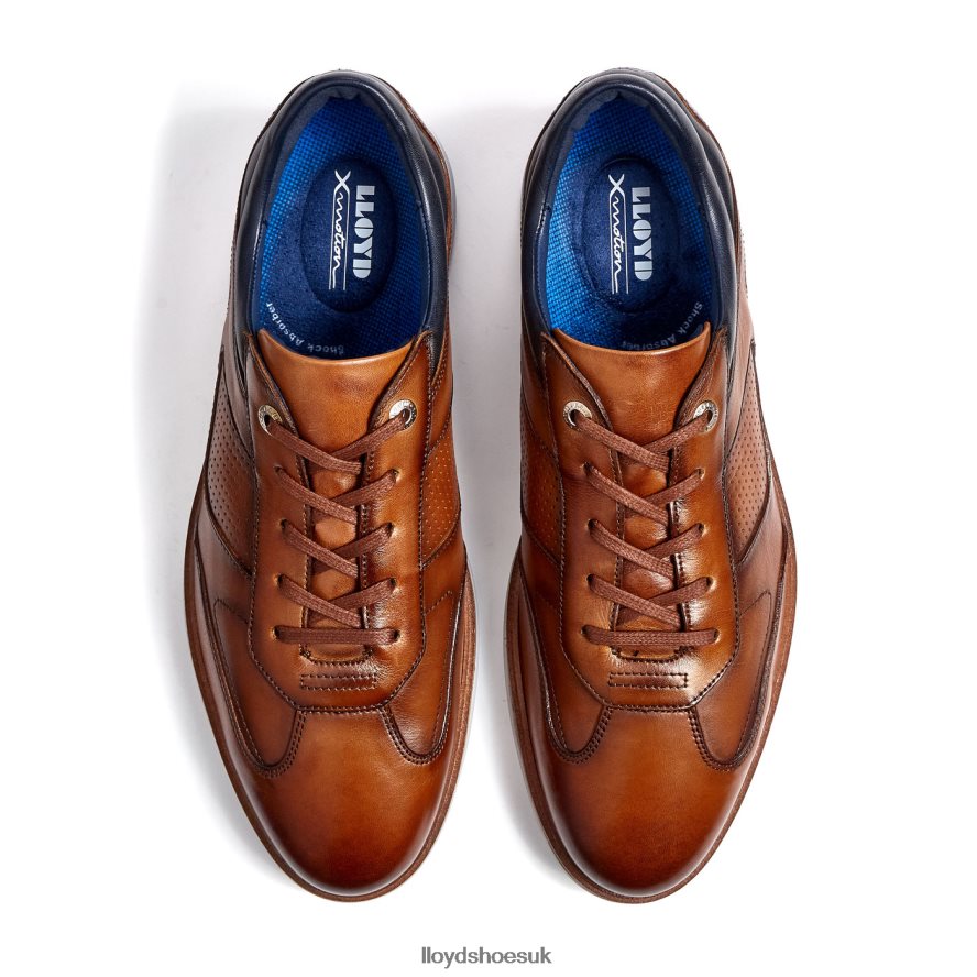 LLOYD Men MAXIM H4BXXT250 Shoes brown