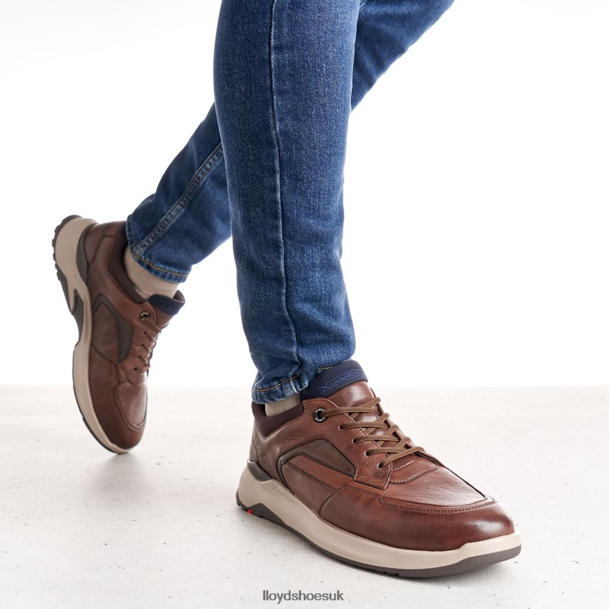 LLOYD Men MEMPHIS H4BXXT267 Shoes brown