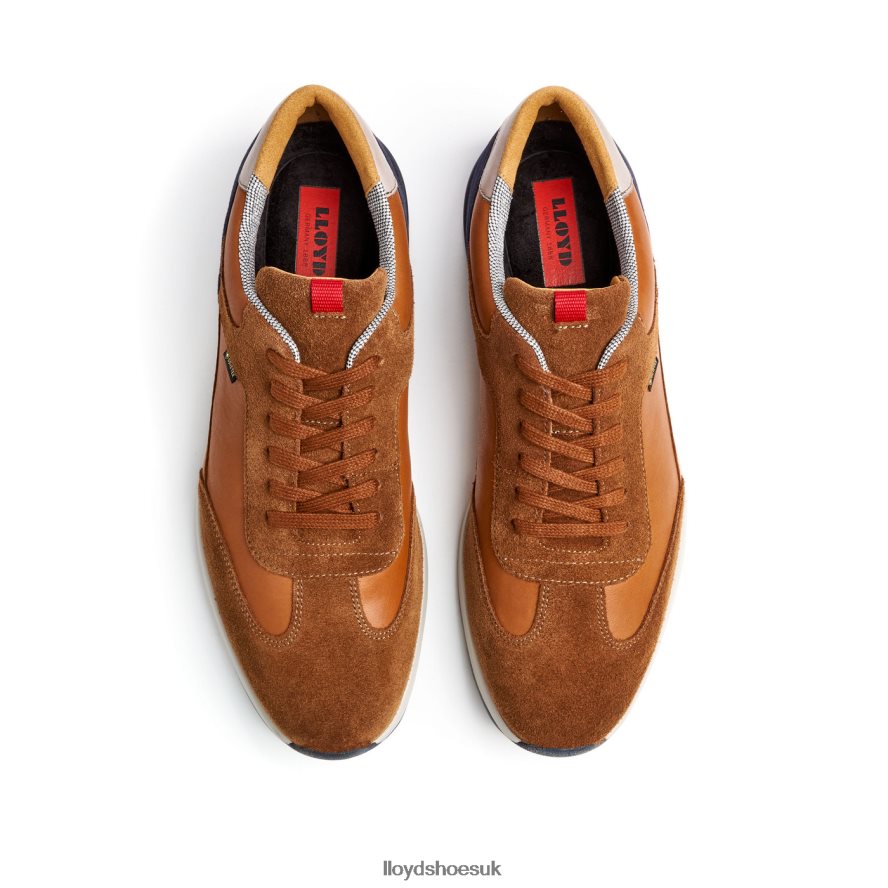 LLOYD Men VEDEA H4BXXT322 Shoes brown