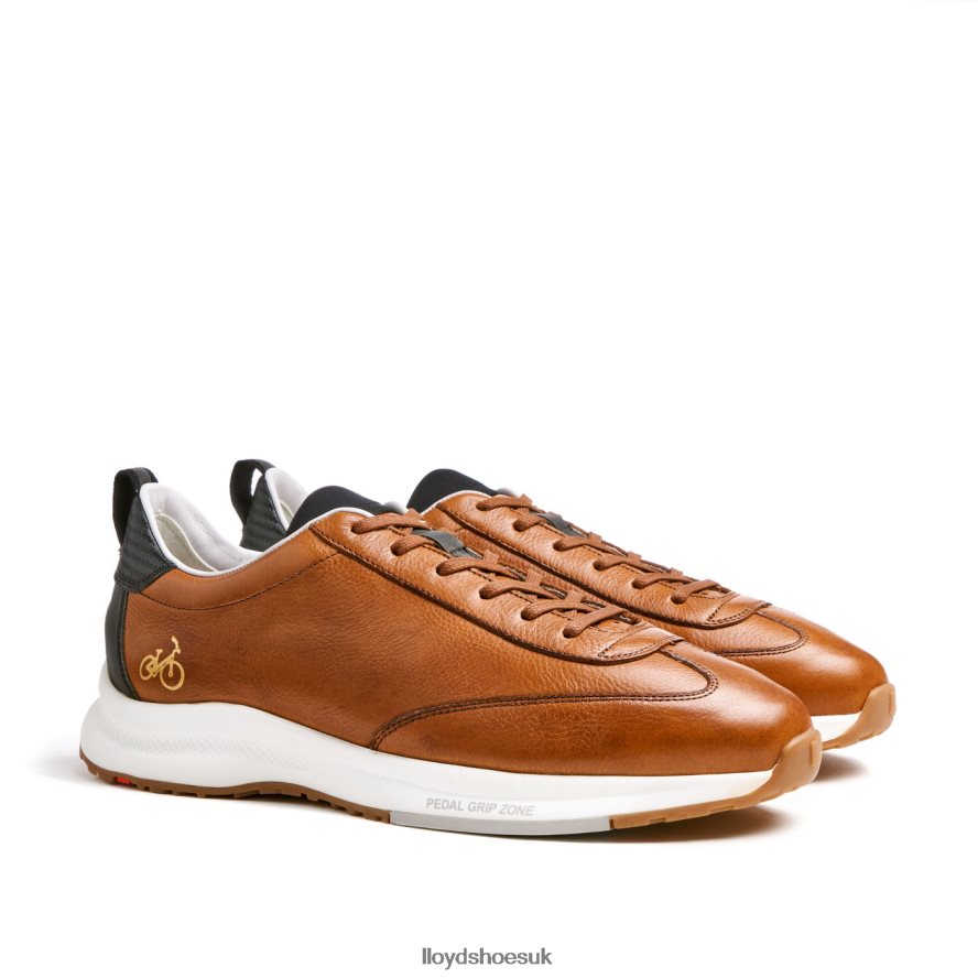LLOYD Men VELO 6 H4BXXT435 Shoes brown