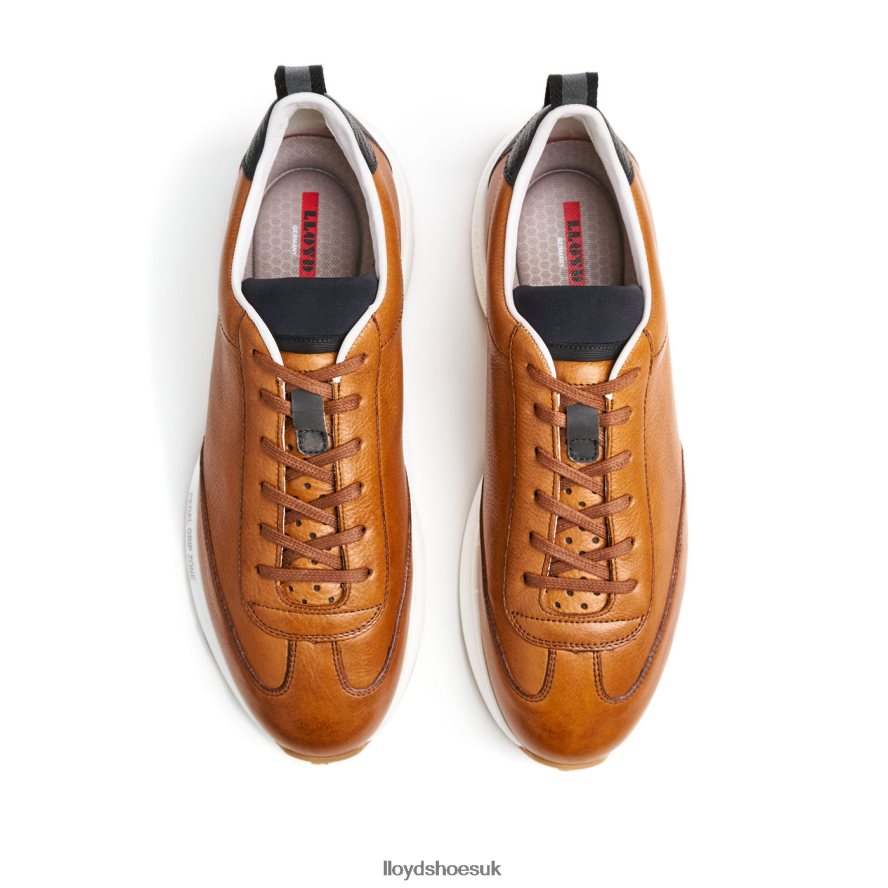 LLOYD Men VELO 6 H4BXXT435 Shoes brown