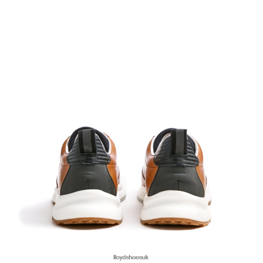 LLOYD Men VELO 6 H4BXXT435 Shoes brown