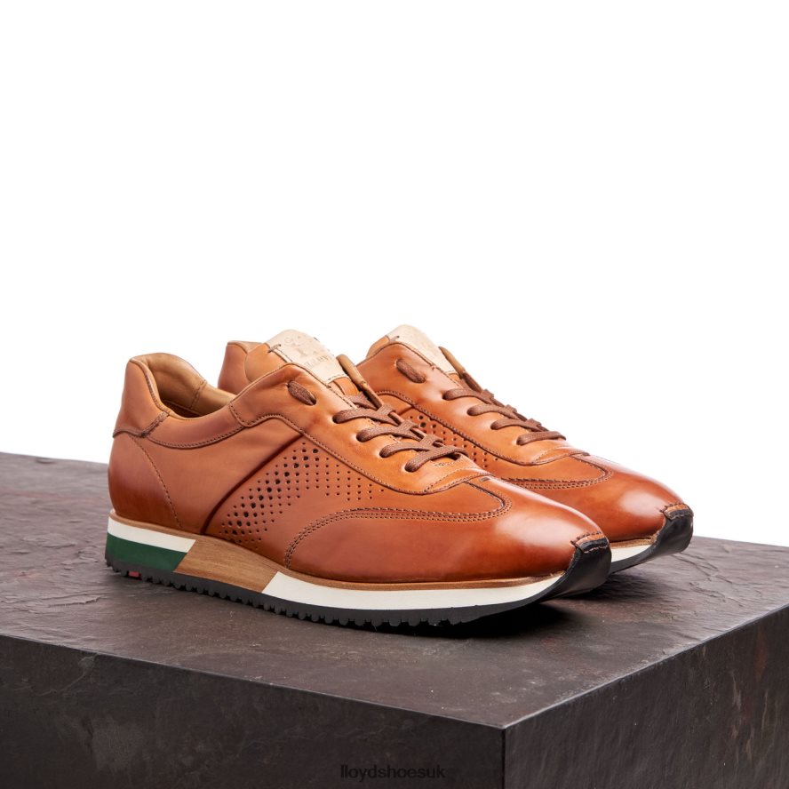 LLOYD Men WALCOTT H4BXXT180 Shoes brown