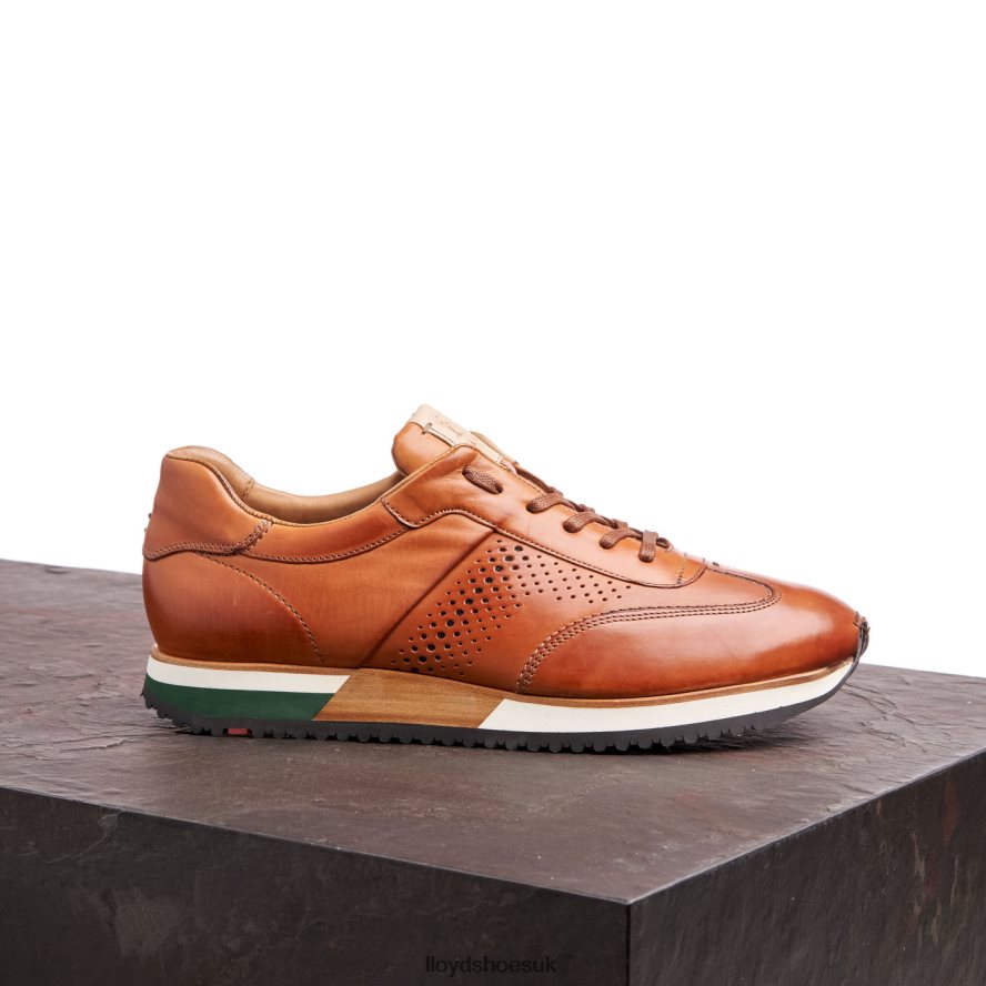 LLOYD Men WALCOTT H4BXXT180 Shoes brown