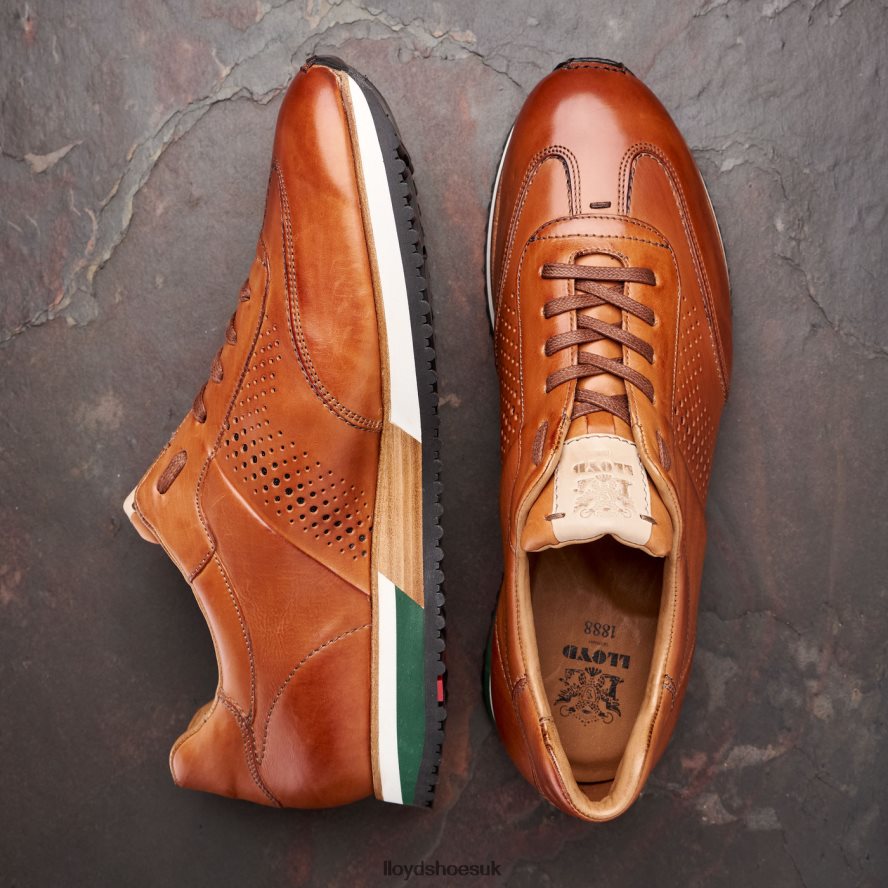 LLOYD Men WALCOTT H4BXXT180 Shoes brown