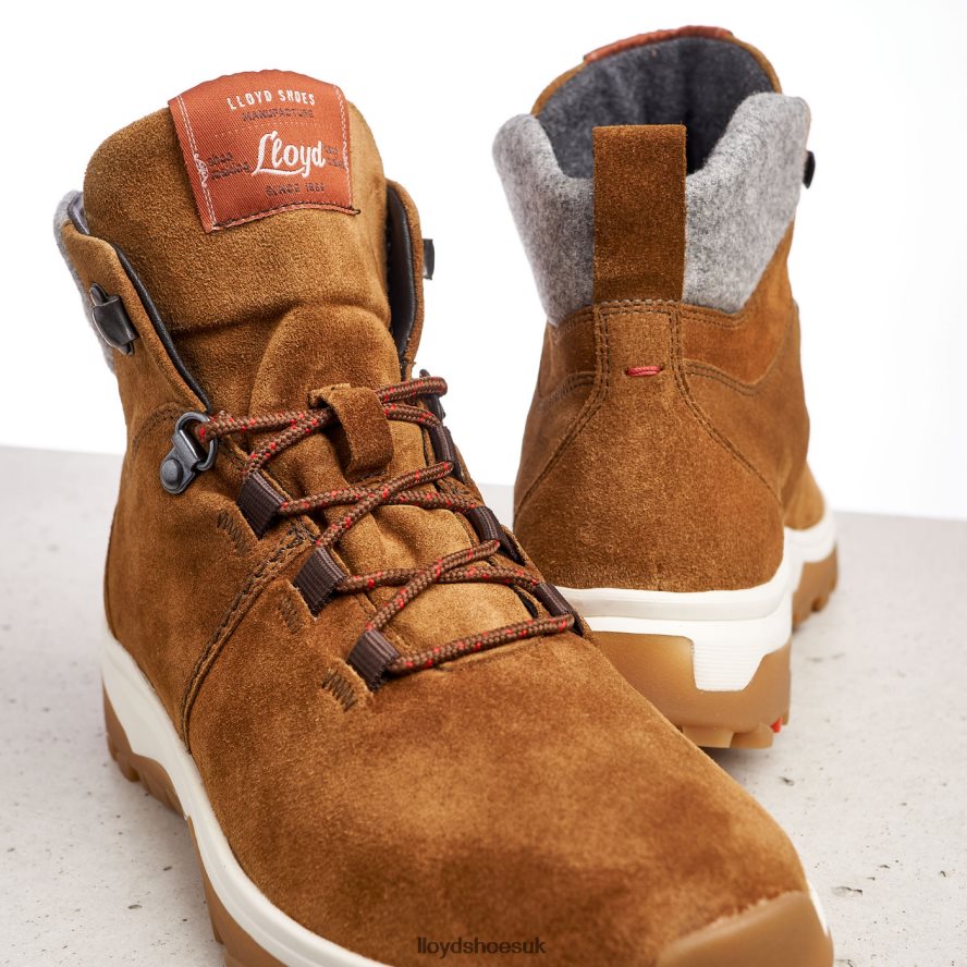 LLOYD Women ANKLE BOOTS H4BXXT856 Shoes brown