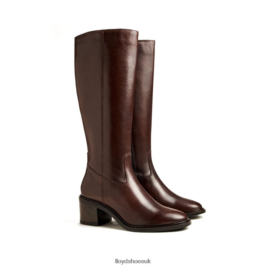 LLOYD Women BOOT H4BXXT1191 Shoes brown