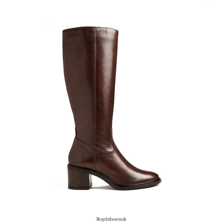 LLOYD Women BOOT H4BXXT1191 Shoes brown
