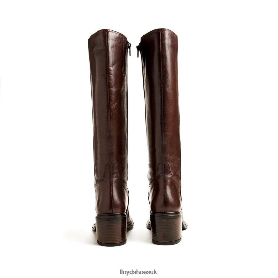 LLOYD Women BOOT H4BXXT1191 Shoes brown