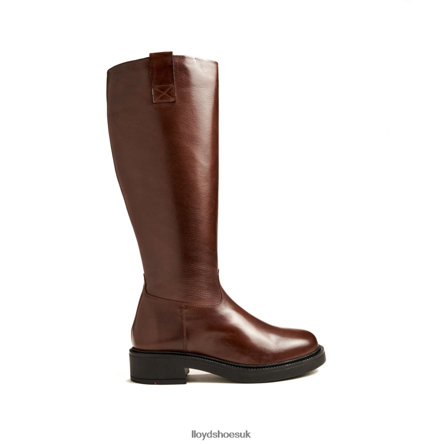 LLOYD Women BOOT H4BXXT1193 Shoes brown
