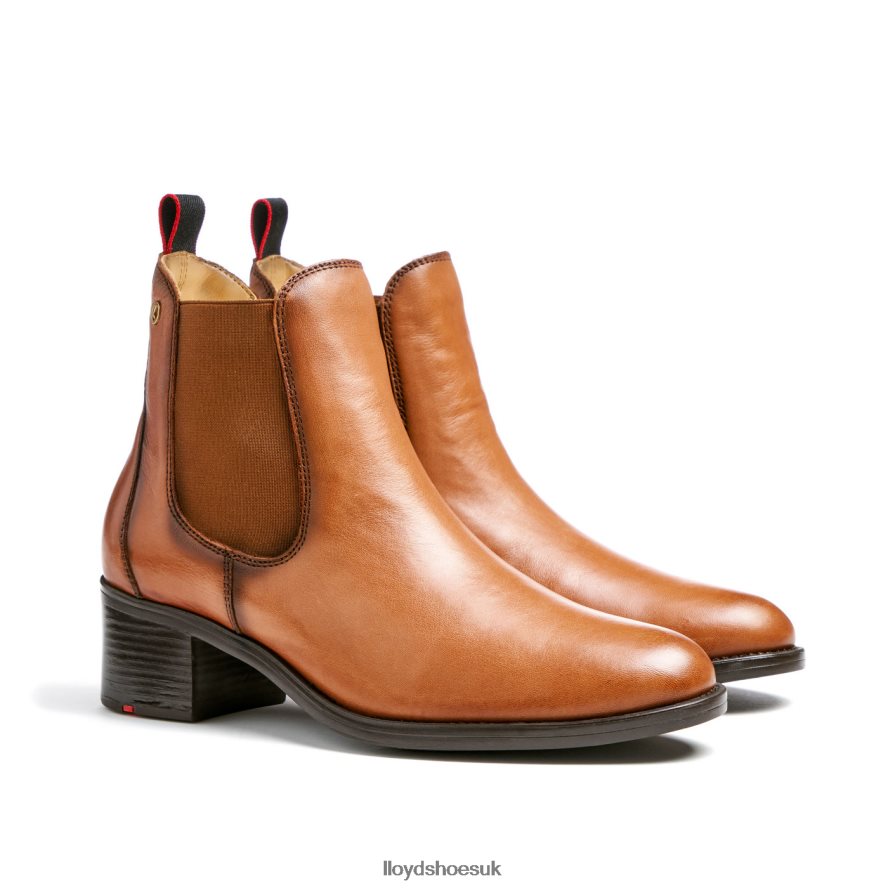 LLOYD Women LEATHER ANKLE BOOTS H4BXXT929 Shoes brown