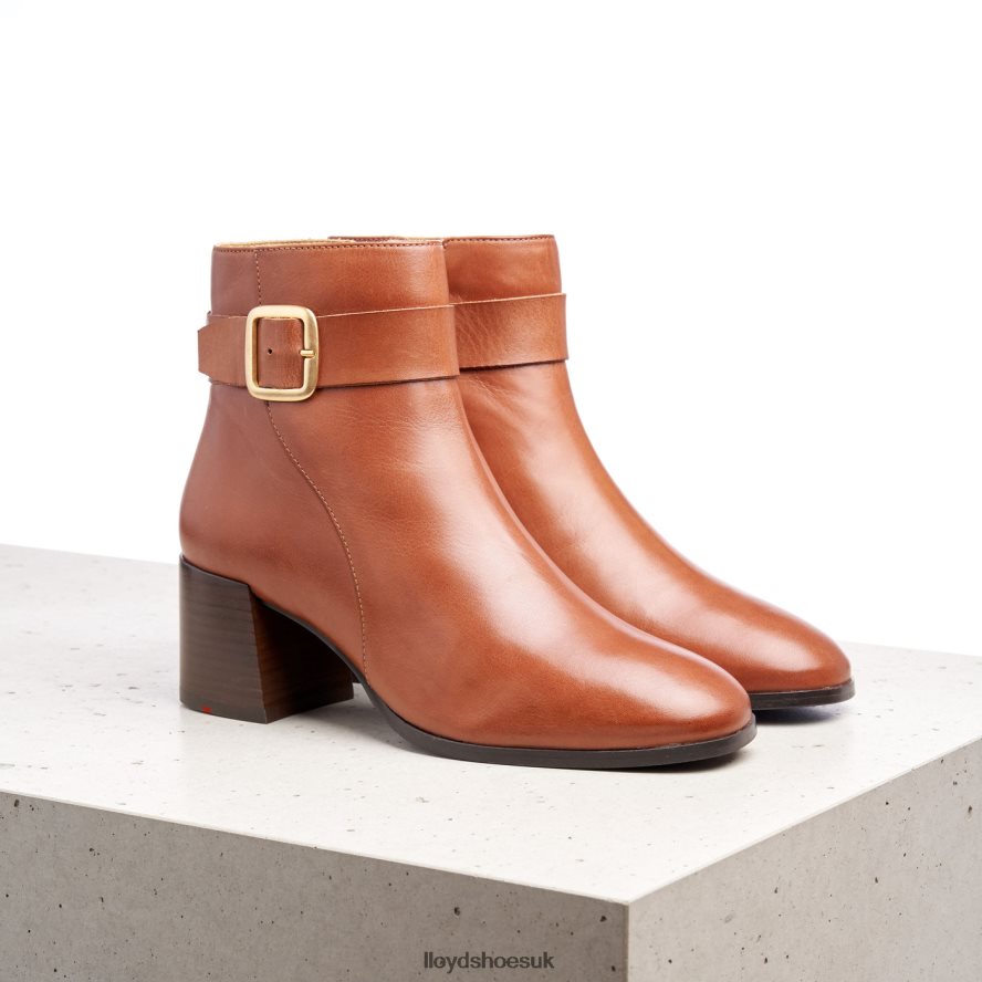 LLOYD Women SMOOTH LEATHER ANKLE BOOTS H4BXXT968 Shoes brown