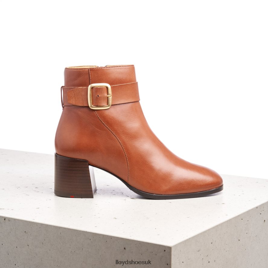 LLOYD Women SMOOTH LEATHER ANKLE BOOTS H4BXXT968 Shoes brown