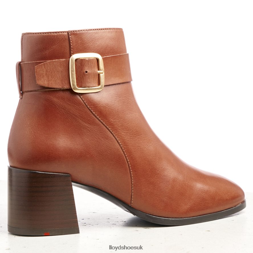 LLOYD Women SMOOTH LEATHER ANKLE BOOTS H4BXXT968 Shoes brown