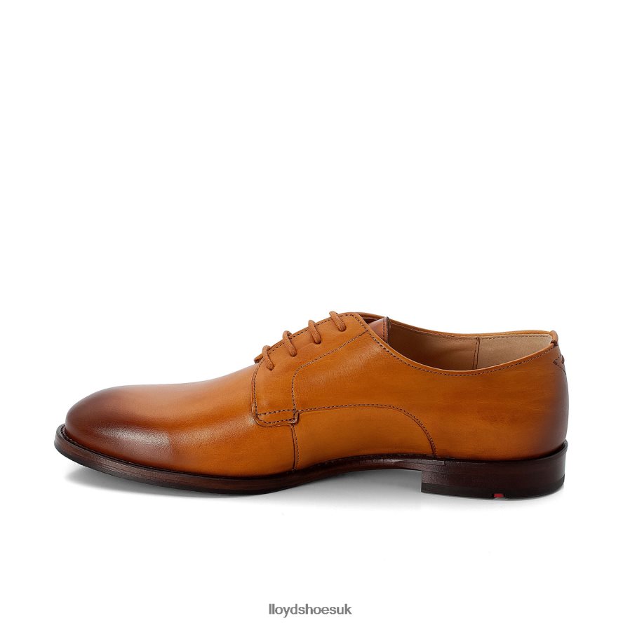 LLOYD Women LACE UP HALF SHOES H4BXXT1090 Shoes brown