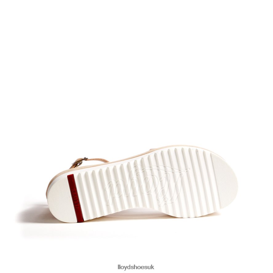 LLOYD Women SANDALS H4BXXT1226 Shoes beige
