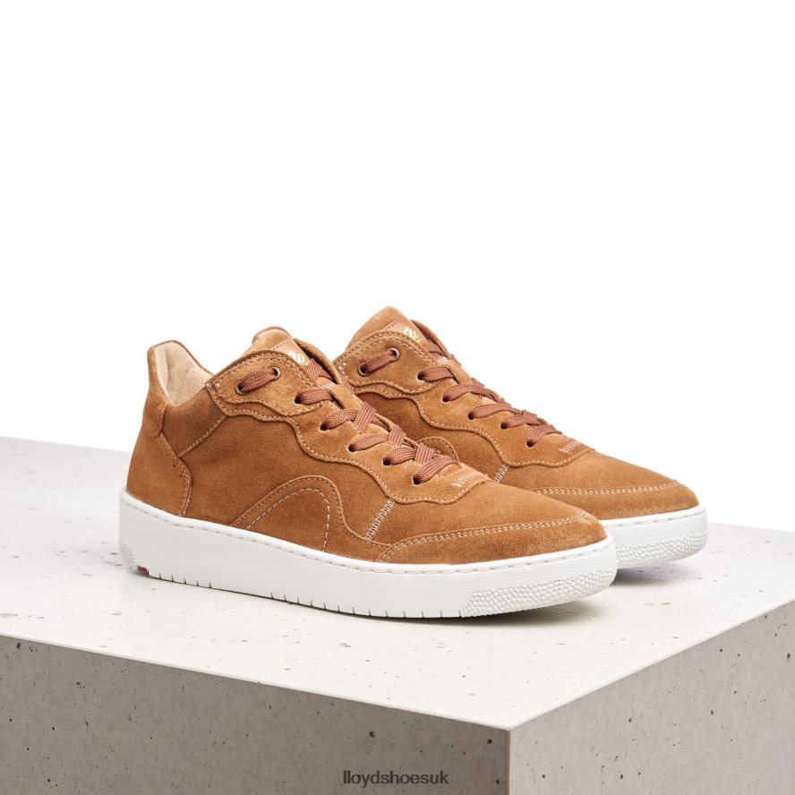 LLOYD Women LEATHER LOW TOP SNEAKERS H4BXXT782 Shoes brown