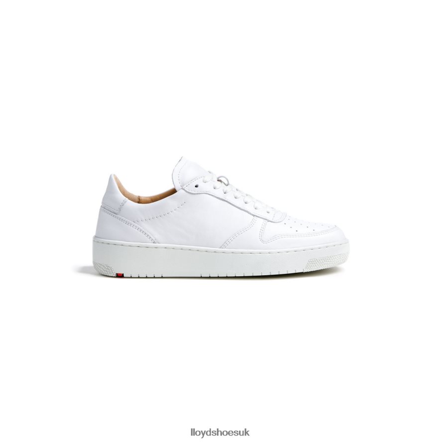 LLOYD Women LOW TOP LEATHER SNEAKERS H4BXXT765 Shoes white