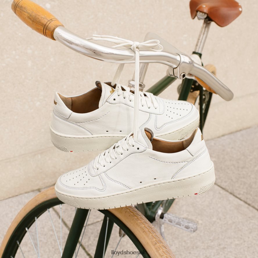 LLOYD Women LOW TOP LEATHER SNEAKERS H4BXXT765 Shoes white