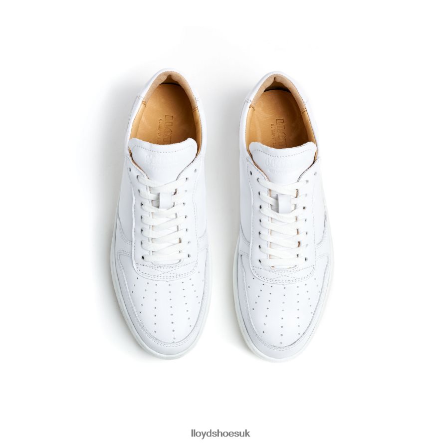 LLOYD Women LOW TOP LEATHER SNEAKERS H4BXXT765 Shoes white