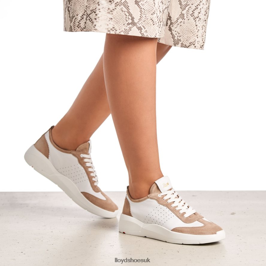 LLOYD Women QUALITY LOW TOP SNEAKERS H4BXXT1353 Shoes beige
