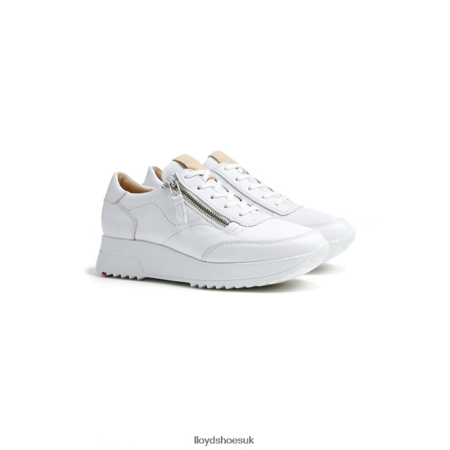 LLOYD Women QUALITY LOW TOP SNEAKERS H4BXXT784 Shoes white