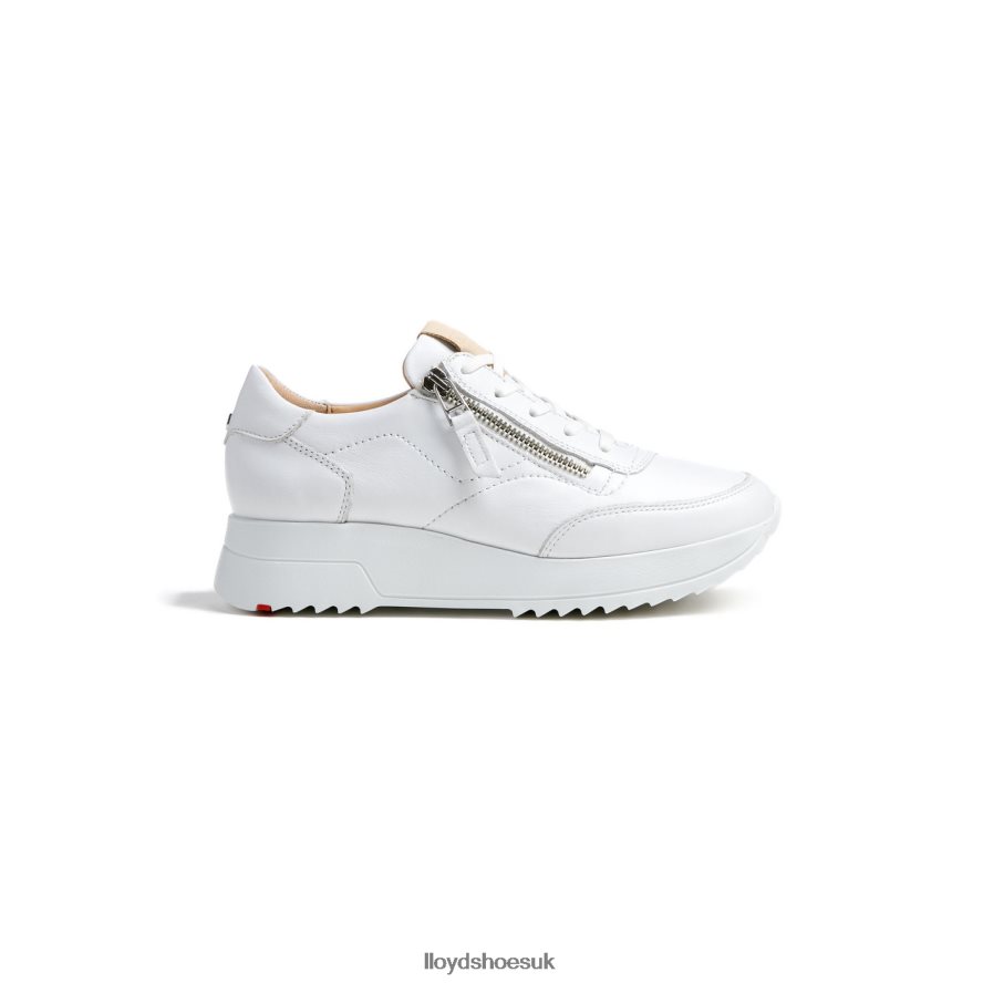 LLOYD Women QUALITY LOW TOP SNEAKERS H4BXXT784 Shoes white