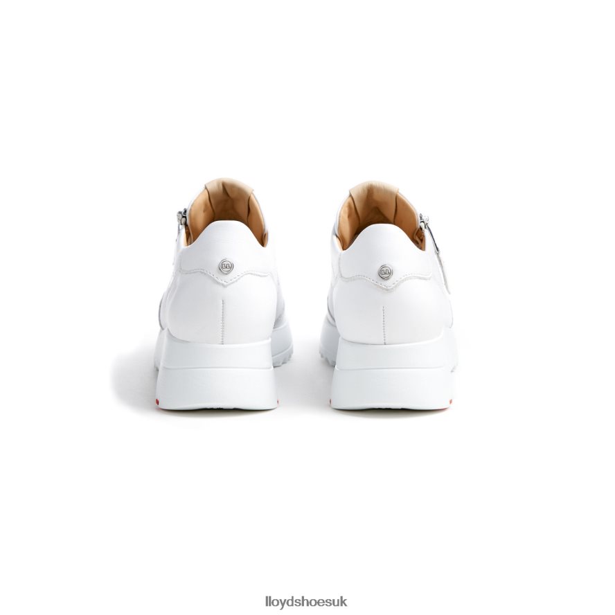 LLOYD Women QUALITY LOW TOP SNEAKERS H4BXXT784 Shoes white