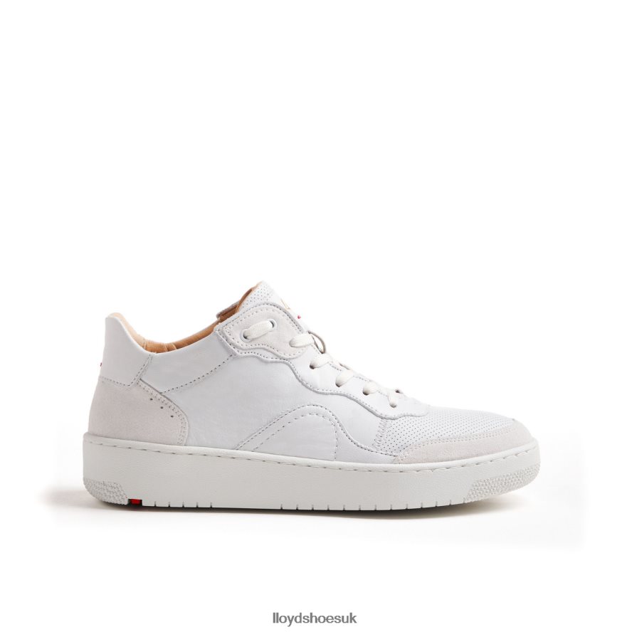 LLOYD Women SMOOTH LEATHER SNEAKERS H4BXXT756 Shoes white