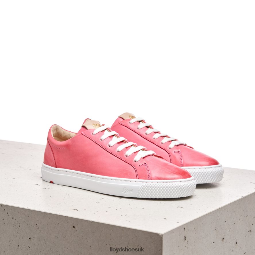 LLOYD Women SMOOTH LEATHER SPOPTY SNEAKERS H4BXXT842 Shoes pink